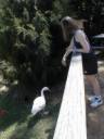 Diane Feeding The Birds